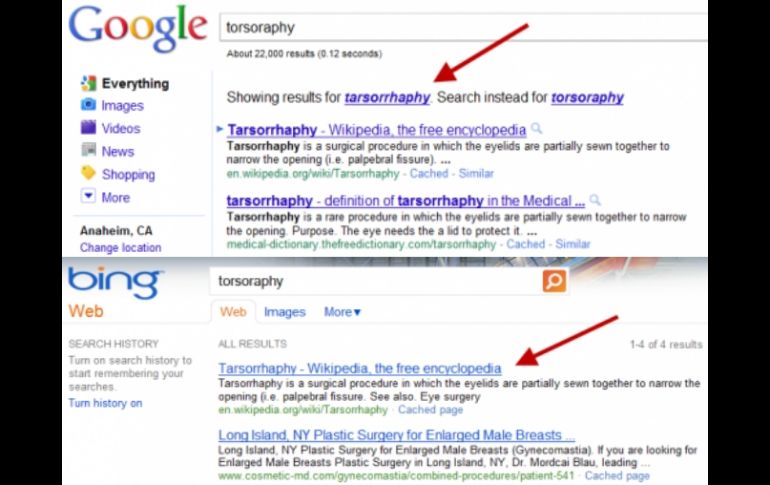 Imagen que compara los resultados de ambos buscadores con el término 'torsoraphy'. ESPECIAL  /