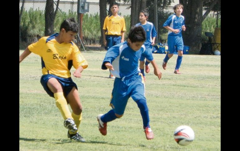 La categoría Infantil Mayor ganó oro, pero la Juvenil Superior Femenil cayó en el duelo decisivo  ante el Estado de México. ESPECIAL  /