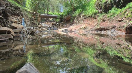 Pese a la urbanización, las aguas del Río Azul, en Loma Dorada, todavía lucen cristalinas y libres de contaminación. S. NÚÑEZ  /