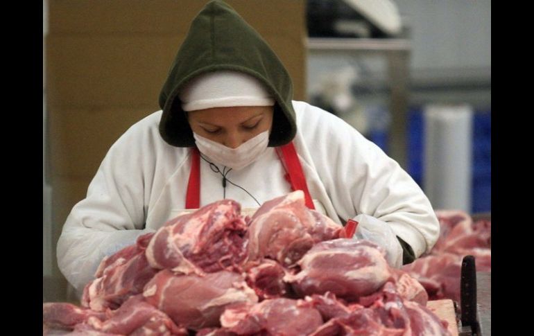 Resaltan que ahora las muestras realizadas en carne sospechosa, tienen un mayor índice de confiabilidad. ARCHIVO  /