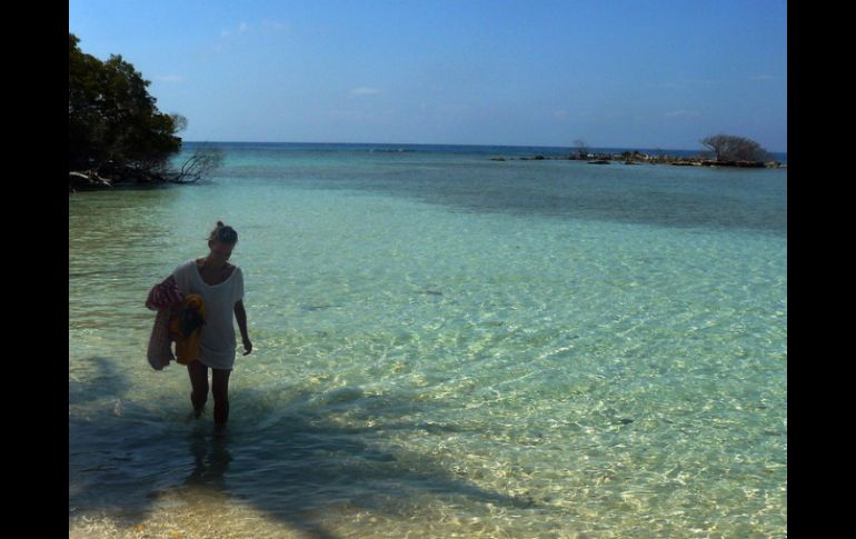El proceso que propone el Instituto puede reducir más de un tercio del contenido en sal del agua de mar. ARCHIVO  /