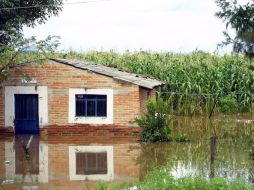 Las parcelas del Valle de Toluquilla son unas de las más afectadas por las inundaciones que ha dejado este temporal de lluvias. ARCHIVO  /