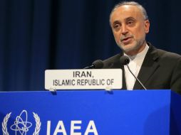 Ali Akbar Salehi, durante su participación en la 57 conferencia general del Organismo Internacional de Energía Atómica. AFP /