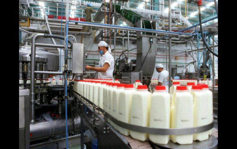 Jalisco produce trece por ciento de la leche que se consume en el país. ARCHIVO /