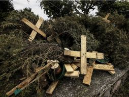 A los ciudadanos que acudan a llevar su árbol navideño se les obsequiará una planta de ornato. EL INFORMADOR / ARCHIVO