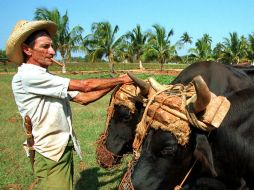 La importación de armas, municiones y subproductos animales o vegetales están fuera del acuerdo. AP / ARCHIVO