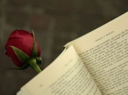 Como es costumbre, los participantes en la lectura recibirán un ejemplar del libro en cuestión y una rosa. EL INFORMADOR / ARCHIVO