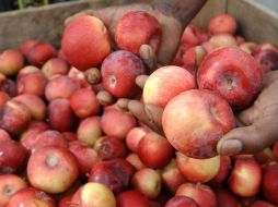 Las sanciones comerciales a Estados Unidos serían por 653 millones de dólares. AP / ARCHIVO