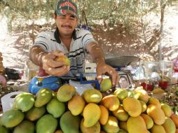 El mango es una de las frutas más ricas en fructosa. EL INFORMADOR / ARCHIVO