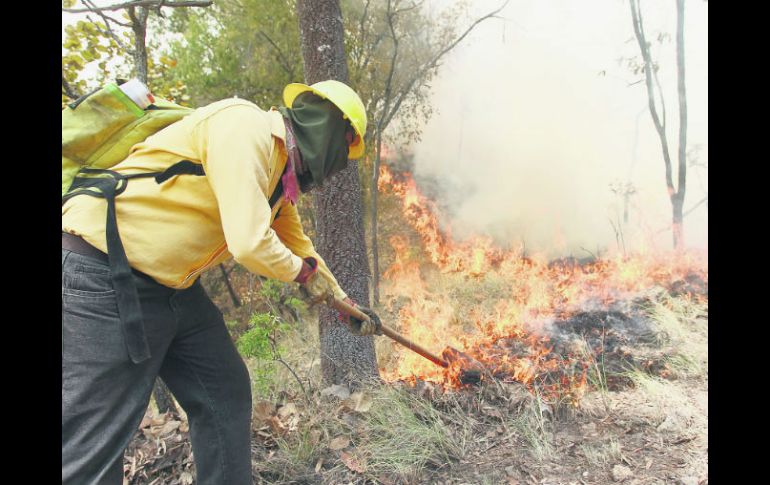 Sin descanso. Un trabajador combate el incendio para evitar su propagación. EL INFORMADOR / A. García