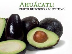 'Ahuácatl: Fruto delicioso y nutritivo' fue presentado este mediodía en el marco de la Feria Internacional del Libro (FIL). TWITTER / @GrupoHerdezMX