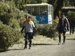 Por cada árbol entregado, se dará a cambio una planta de ornato. EL INFORMADOR / ARCHIVO