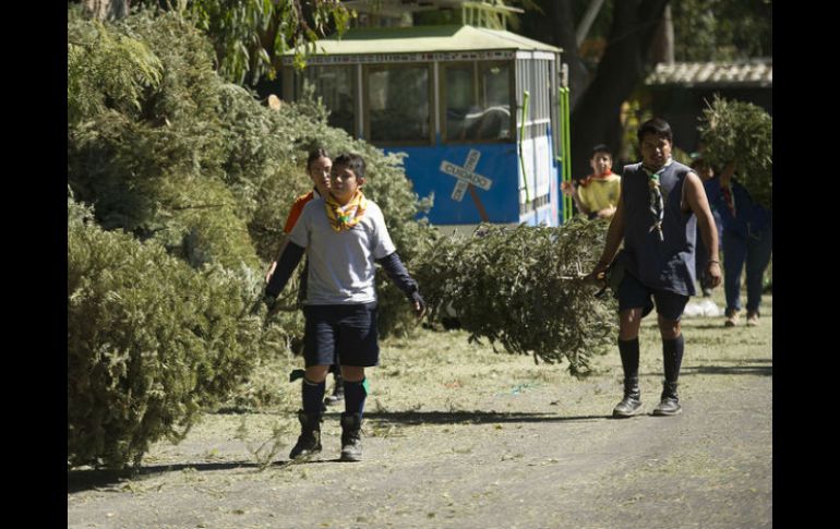 Por cada árbol entregado, se dará a cambio una planta de ornato. EL INFORMADOR / ARCHIVO