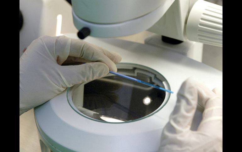 El estudio se realiza con una biopsia para sustraer una o varias células del embrión. EL INFORMADOR / ARCHIVO
