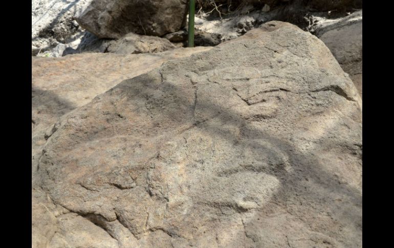 Un trabajador del sitio resbaló sobre una piedra irregular y detectó líneas en su superficie. NTX / INAH