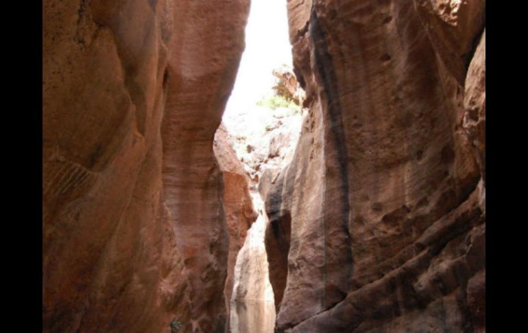 El descubrimiento se localiza a 300 metros de profundidad, motivo por el cual muchas personas no podrían verlo alguna vez. NTX / ARCHIVO