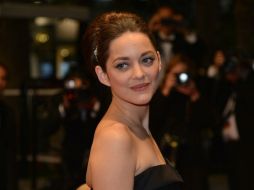 Según fuentes confidenciales, Jolie contrató a un investigador privado quien descubrió la aventura de Brad Pitt con Marion Cotillard. AFP / ARCHIVO