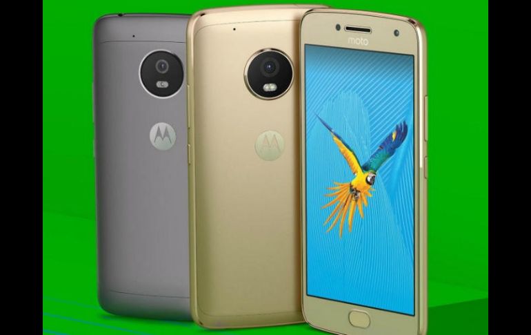 Los Moto G5 y G5 Plus están a la venta en colores dorado y gris oscuro. TWITTER / www.motorola.com.mx