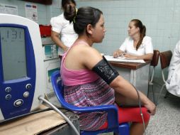 Los expertos distinguen dos tipos de fiebre amarilla que se  diferencian por el mosquito transmisor: la silvestre y la urbana. EFE / ARCHIVO