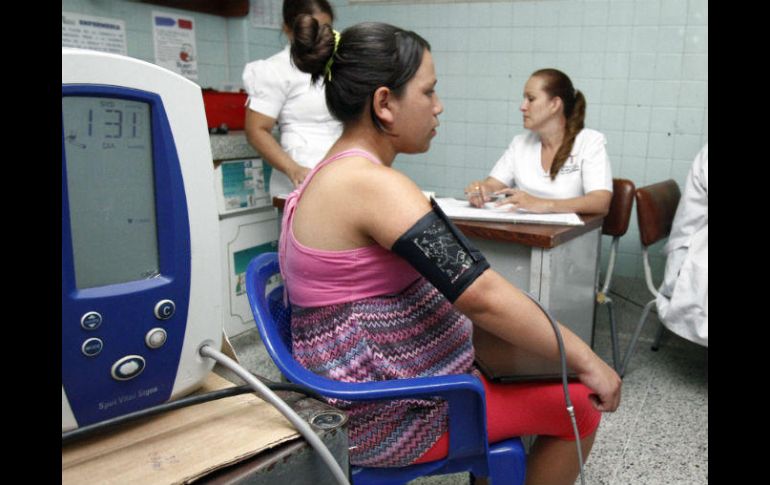 Los expertos distinguen dos tipos de fiebre amarilla que se  diferencian por el mosquito transmisor: la silvestre y la urbana. EFE / ARCHIVO