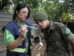 Son cuatro los estados afectados por la infección: Río de Janeiro, Espíritu Santo, Sao Paulo y Minas Gerais. AP / ARCHIVO