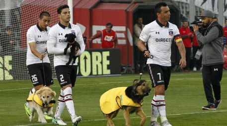 El cuadro inicial salió al terren de juego antes del incio ante el Antofagasta  junto a algunos canes. ESPECIAL / colocolo.cl