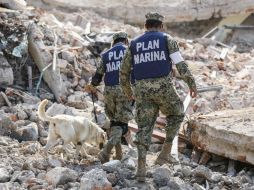 Más de 60 muertos dejó el terremoto que se registró la noche del jueves. SUN / C. Rogel