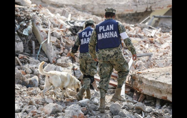 Más de 60 muertos dejó el terremoto que se registró la noche del jueves. SUN / C. Rogel