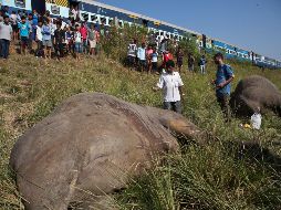 El incidente ocurre cerca de la ciudad de Gauhati, en el noreste de la India. AP/A. Nath