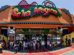 Los adultos que acudan a votar y presenten su dedo marcado con tinta indeleble en las taquillas de Selva Mágica, podrán comprar dos Pases Platino al precio de uno. EL INFORMADOR / ARCHIVO