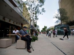 Los ladrones aprovechan para arrebatar pertenencias a las personas que acuden a tomarse fotos en el monumento Árbol Adentro o que se sientan en las jardineras. EL INFORMADOR/F. Atilano