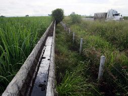 Para producir 36 millones de galones de etanol se requeriría la producción de 1.4 millones de toneladas de caña, para lo que se necesitarían seis mil trabajadores. EL INFORMADOR/Archivo