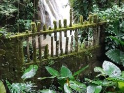 El Jardín Escultórico Edward James - Las Pozas está compuesto por figuras de concreto en una especie de laberinto se esconden entre la vegetación del lugar. EL INFORMADOR / O. Álvarez