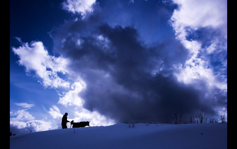 Un cielo nublado sobre el bosque de Turingia, cerca de la ciudad alemana de  Oberhof. AP/J. Meyer