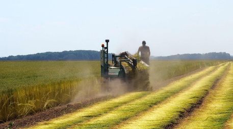 Alfaro triplica recursos para el campo