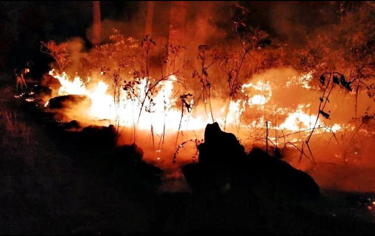 El incendio afectó a más de 20 hectáreas, el parque contiene más de 400 hectáreas y es una de las reservas más importantes de Michoacán. TWITTER / @Portal_Mich