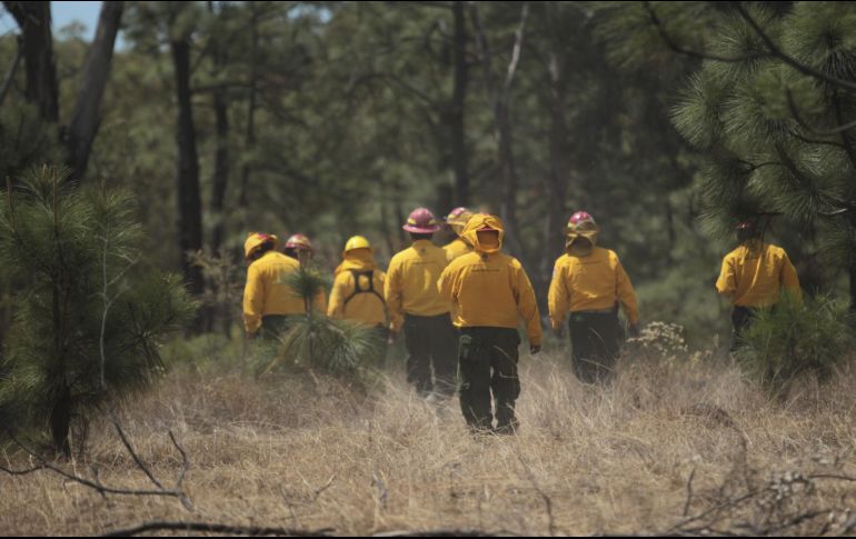 Más de 300 personas luchan por apagar los incendios, y están siendo dirigidos por Sedana, Conador y Protección Civil. EL INFORMADOR / ARCHIVO