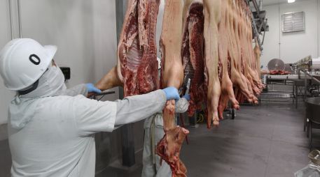 Entre las irregularidades encontradas está la falta de aturdimiento previo al sacrificio de animales. EL INFORMADOR/G. GALLO