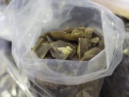 Las escamas de pangolín son muy apreciadas en China por su uso en la medicina tradicional asiática. EFE/ARCHIVO