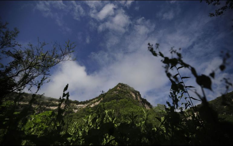 El lesionado narró que sus captores le dijeron que le cortarían la cabeza, mostrándole un hacha. EL INFORMADOR / ARCHIVO