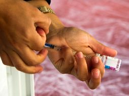 Las vacunas contra la influenza contienen tres o cuatro cepas que responden a los virus que circulan en la población humana. AFP/ARCHIVO