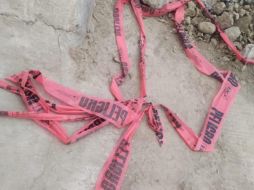 La caída del árbol ocurrió sobre la avenida Patria de Tonalá, en un área donde se colocaba concreto hidráulico. EL INFORMADOR / ARCHIVO