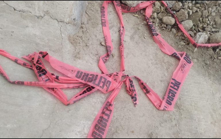 La caída del árbol ocurrió sobre la avenida Patria de Tonalá, en un área donde se colocaba concreto hidráulico. EL INFORMADOR / ARCHIVO