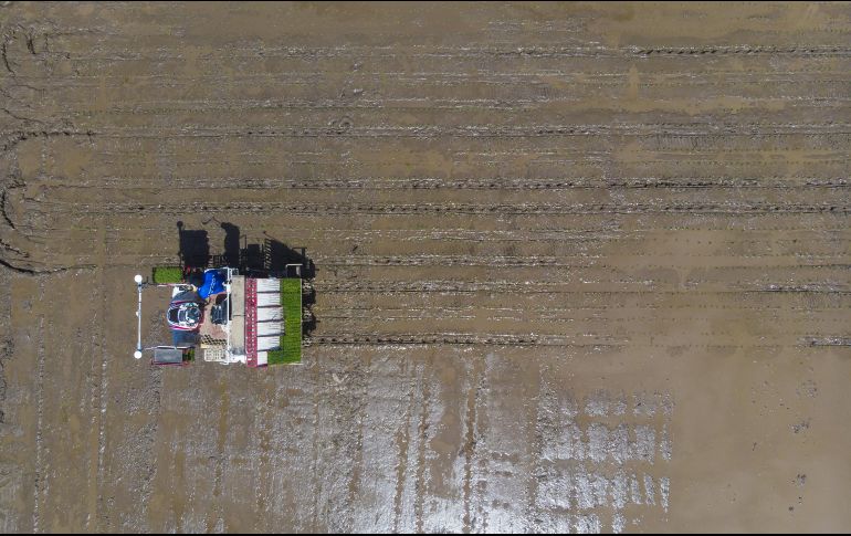 El gobierno mexicano no descarta una posible controversia laboral en el marco del T-MEC. XINHUA/Z. Tao