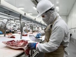 ARANCELES. Los productos serán importados libres de impuestos. EL INFORMADOR/ GGALLO