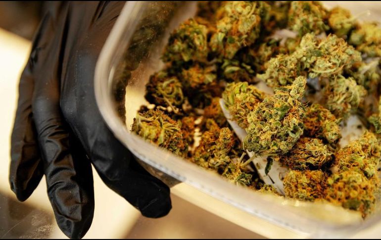 Aseveran que, a nivel estatal, se requiere concretar una nueva ley sobre prevención y atención de adicciones. EFE/ARCHIVO