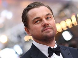 Leonardo DiCaprio señaló que es casi garantizado la muerte de las 10 vaquitas marinas que quedan. AFP/ARCHIVO