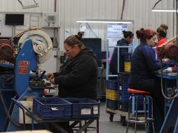 Sesenta mil empresas se dieron de alta en el registro de patrones que están autorizados para prestar servicios y obras especializadas. EL INFORMADOR/Archivo