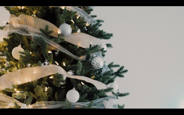 UNSPLASH/ MATHILDE LANGEVIN