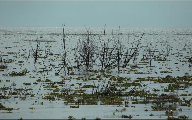 Uno de los objetivos es fomentar el desarrollo intermunicipal e interurbano de la región. EL INFORMADOR/ARCHIVO